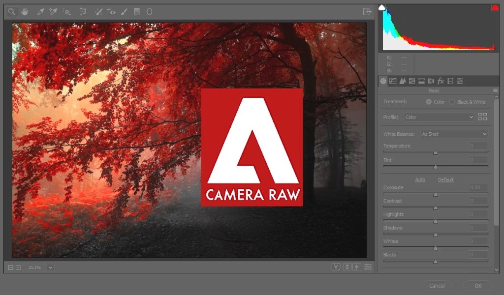 Adobe Camera Raw v16.3 原始图像处理工具