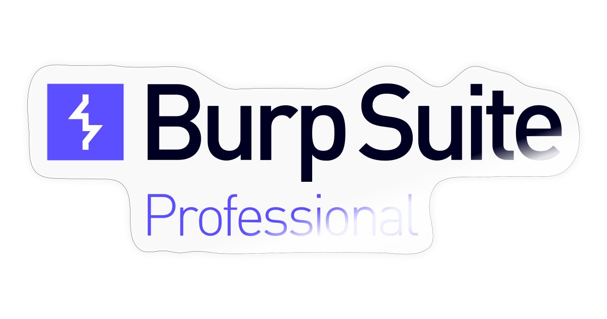 Burp Suite Professional 2024.5.3 网络安全测试工具