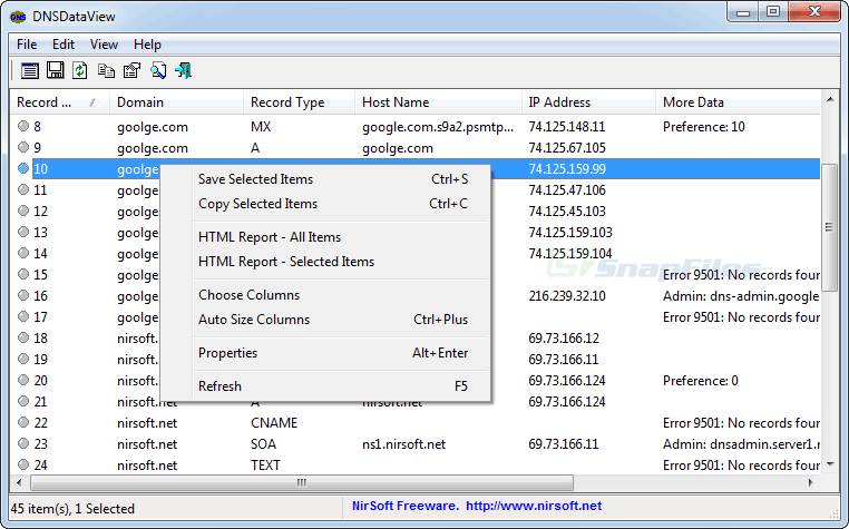 DNSDataView v1.71 查询DNS记录和分析域名信息工具