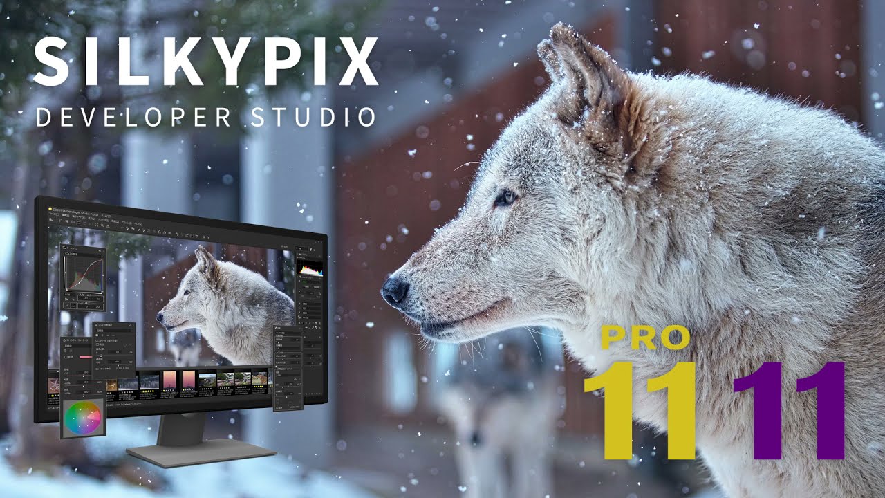 SILKYPIX Developer Studio v11.1.14.0 RAW图像编辑和处理软件