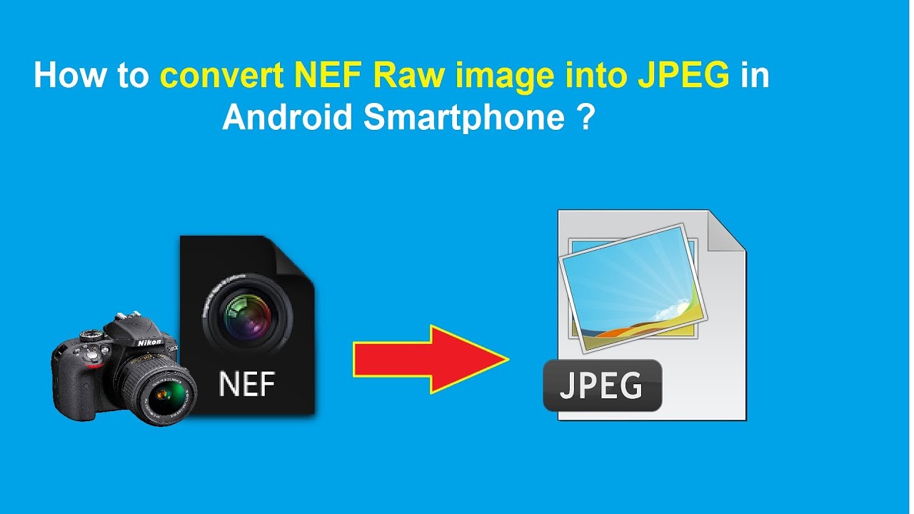 NEF To JPG Converter Pro v1.1 图像转换软件