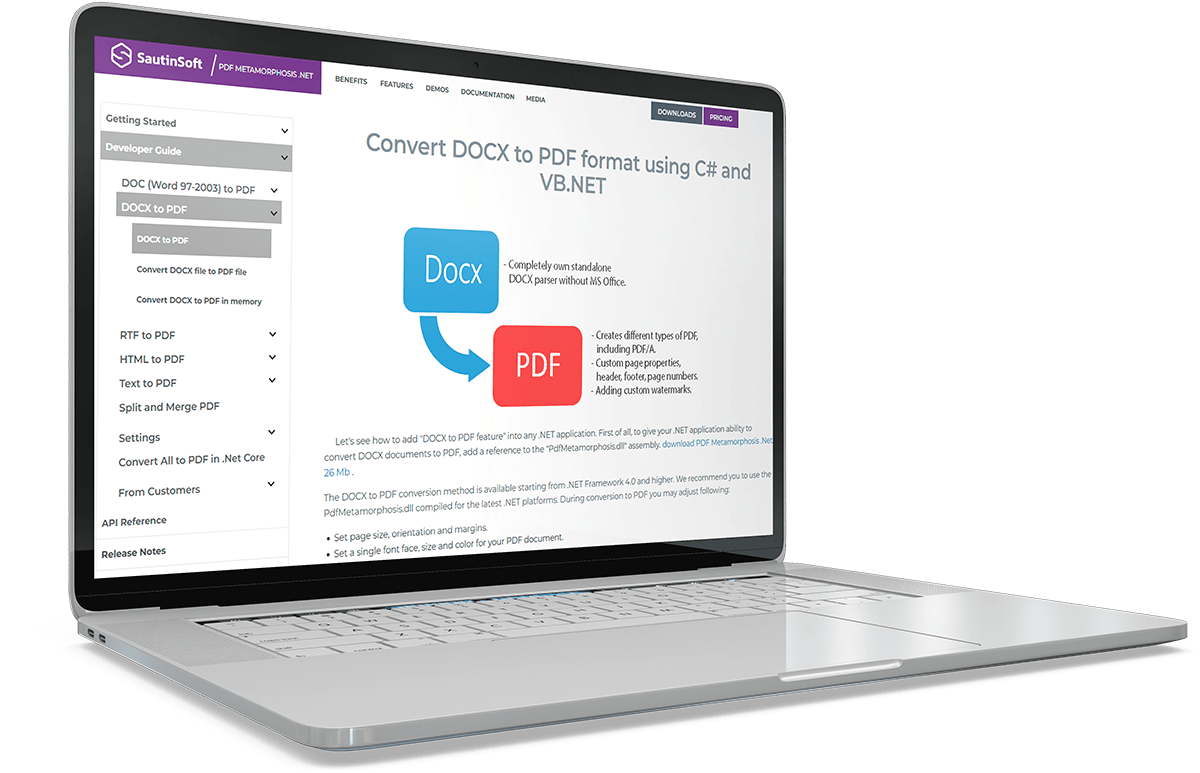 SautinSoft PDF Metamorphosis .Net v9.3.2.8 文档转换为PDF软件