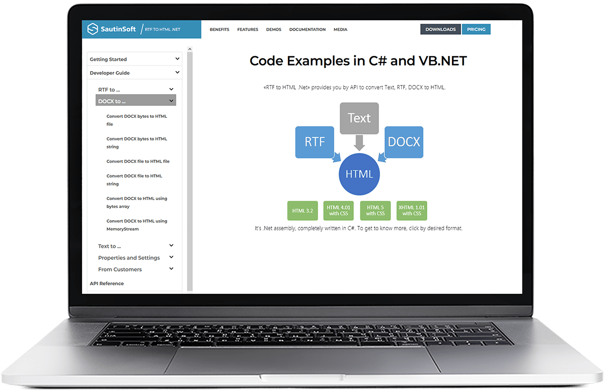 SautinSoft RTF to HTML .Net v8.1.2.2 RTF到HTML转换工具