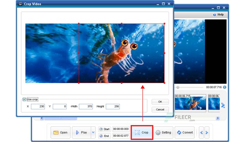 ThunderSoft Reverse GIF Maker v4.3.0 反向GIF制作工具