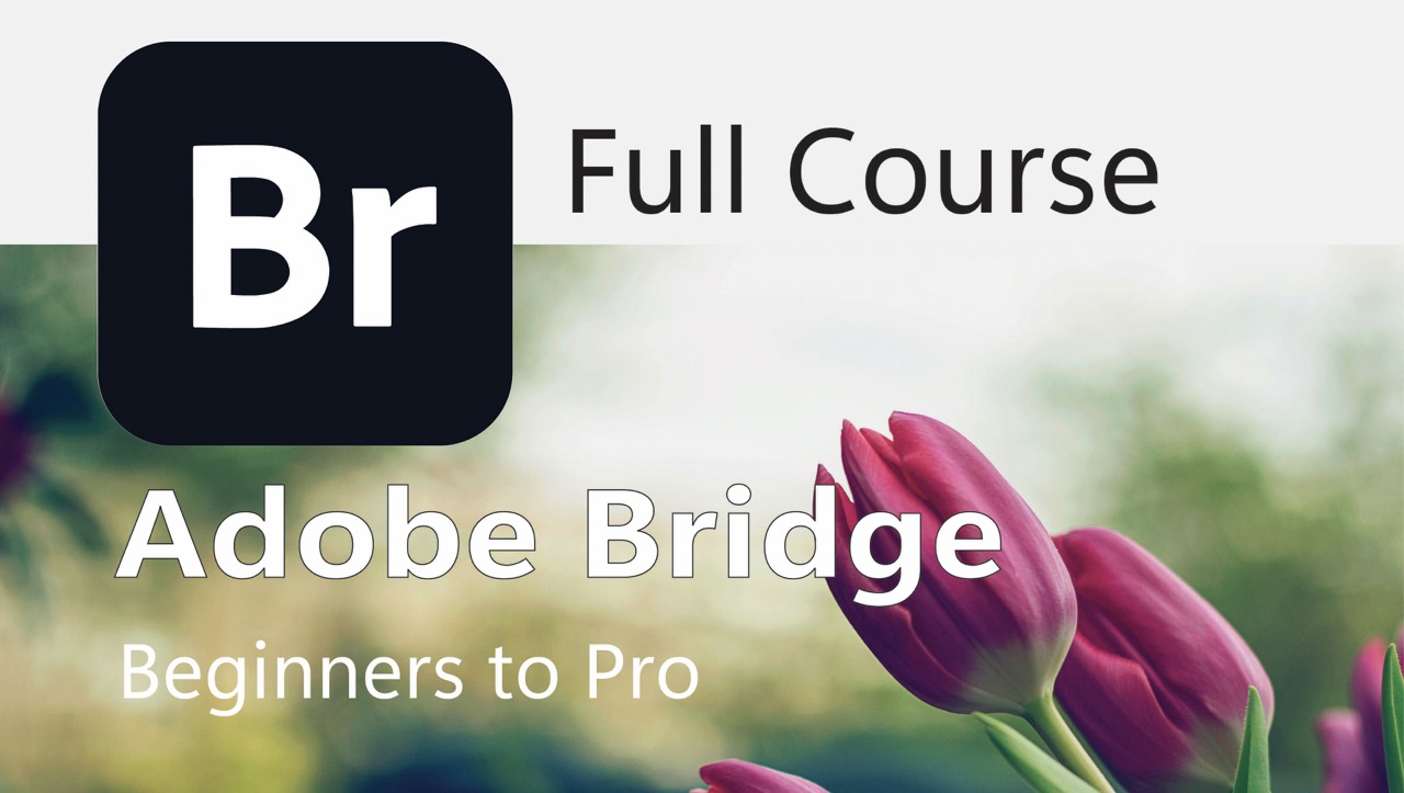 Adobe Bridge 2024 v14.1.0.257 创意资源管理器