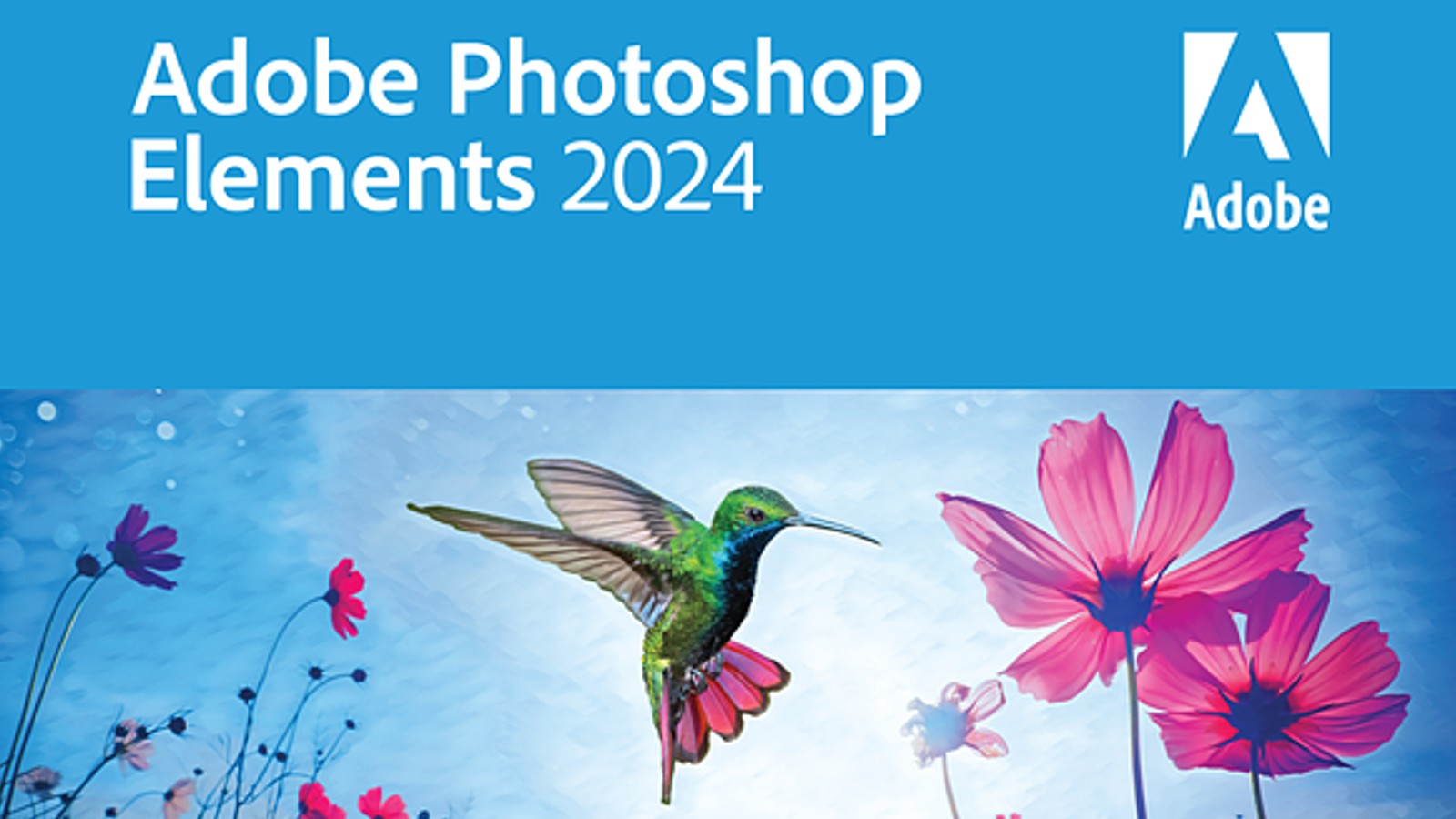 Adobe Photoshop Elements 2024.3 图像编辑软件