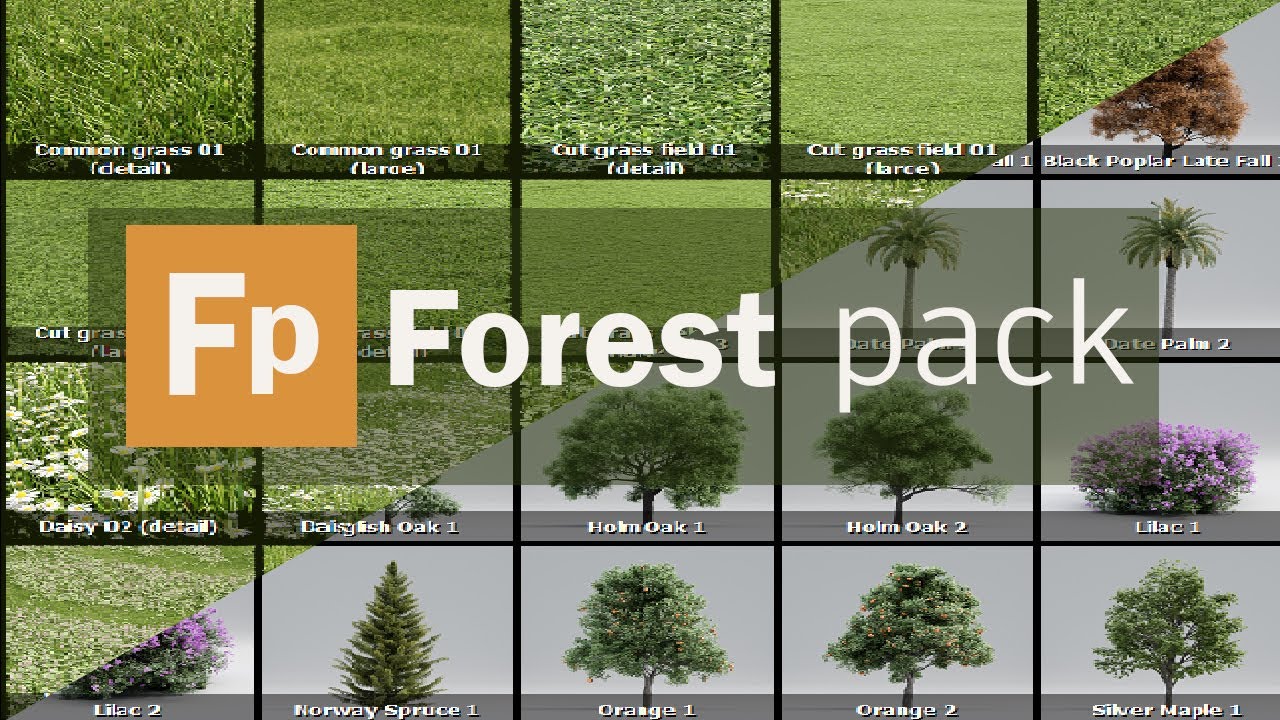 Itoo Forest Pack Pro v6.3.1 森林三维建模3ds Max插件