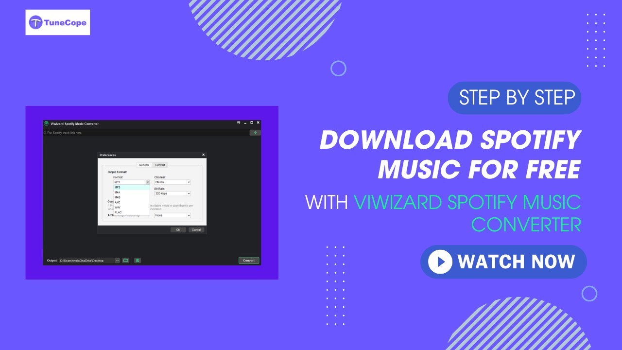 ViWizard Spotify Music Converter v2.13.0.801 音乐下载与转换器