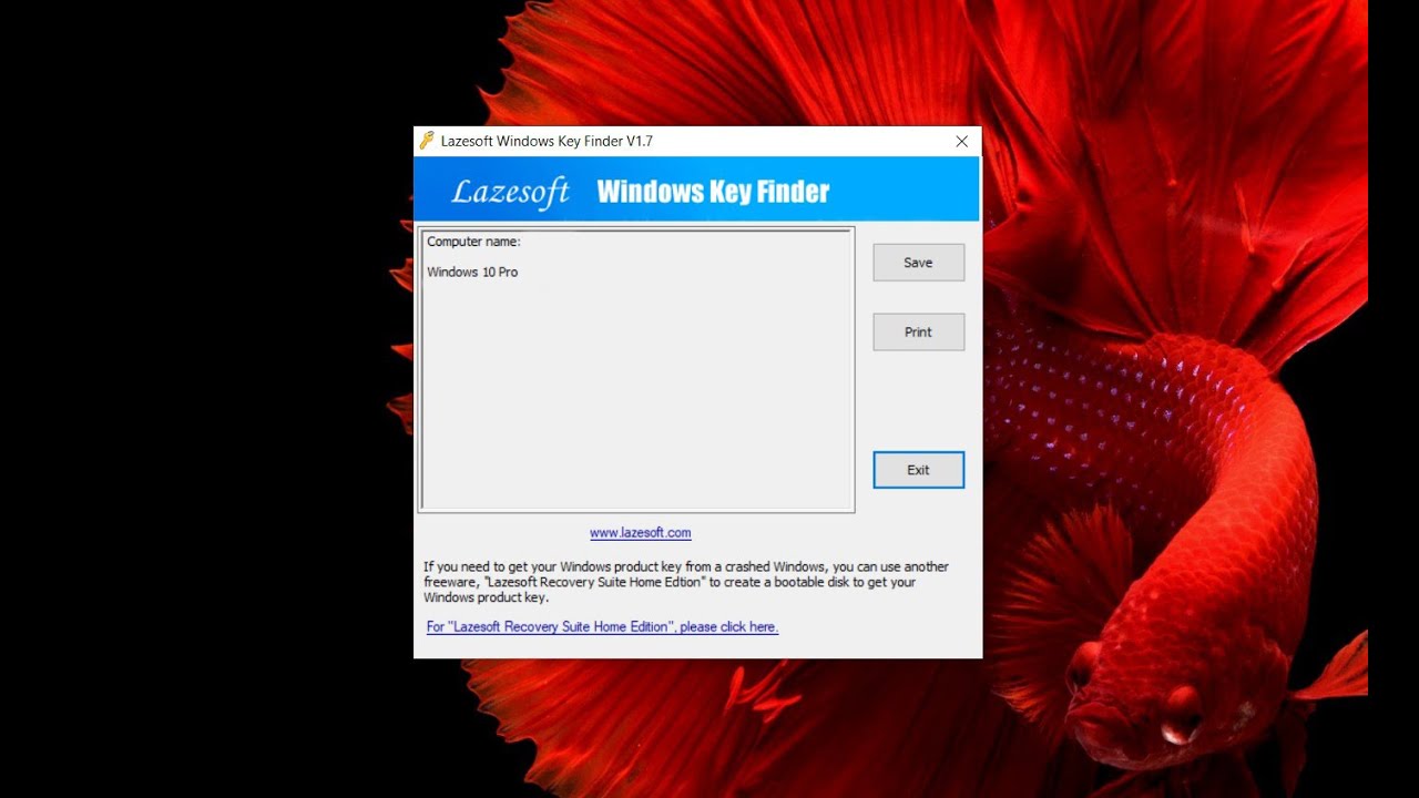 Windows Key Finder v1.0.1 提取系统和Office密钥工具