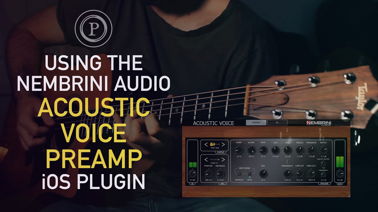 Nembrini Audio Acoustic Voice v1.0.1 原声吉他前置放大器插件