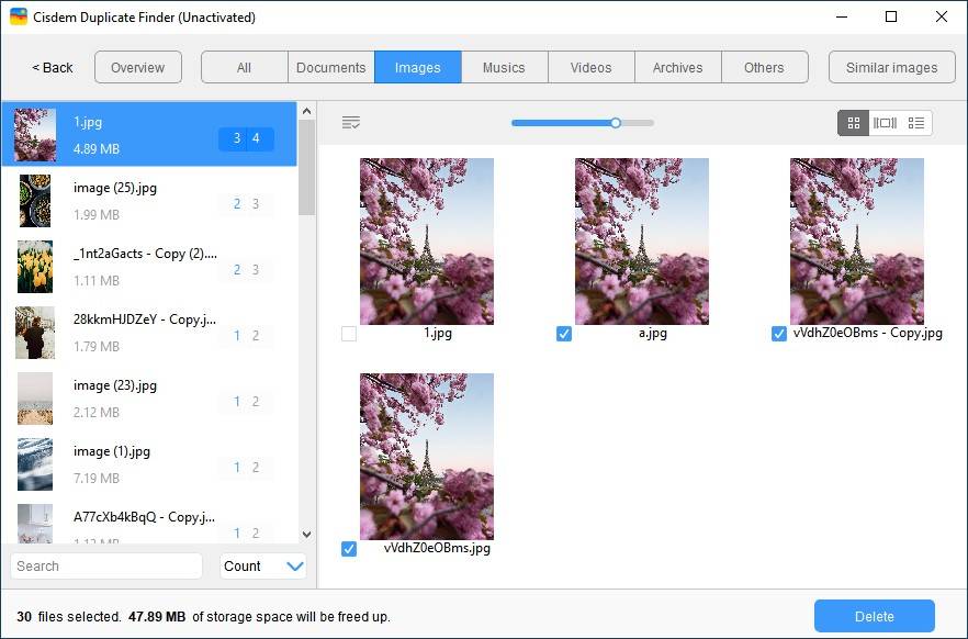 Cisdem Duplicate Finder v3.0.2 重复文件查找和删除工具